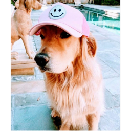 Preppy Obby!