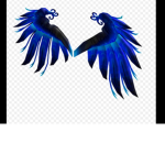 Enchanted wings