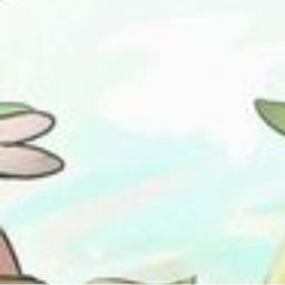 ✦