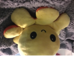 Little octopus