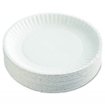 The Paper Plate Gang