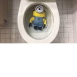 THE MOONIONS