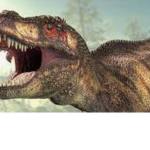 Fossil and Dino group