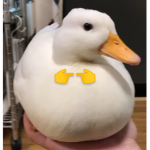 Matt Friends