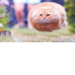 obby to test your time