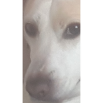 Jack_Da_Killa