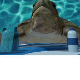 Help save Turtles!