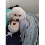 로벅스 준당!