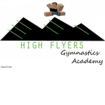 High-Flyer Gymnastics Academy