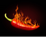 The Hot Chilli Peppers