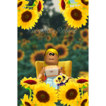 RainShine.Roblox