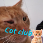 caт club