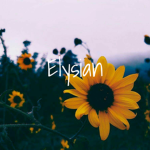 •Elysian•