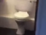 Exploding Toilet Meme