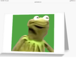 The The official kermit the frog Group