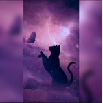 The Galactic Kitty's