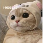 Emoji?