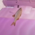 Desilusionez