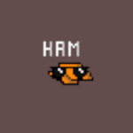 Ham Development Studios