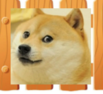Doges Of The Fence