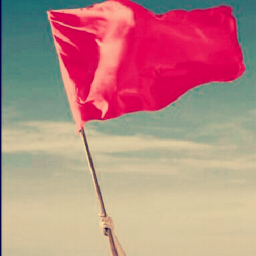 .+ Capture the Flag +.