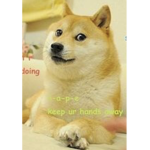 Doges fansees