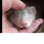 Love and joy! <3