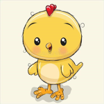 Chicks Chop chop Group