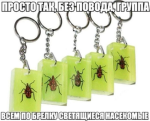 x558x