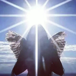 Born 2 Sin [B2S]
