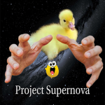 Super Cool Duck Clan!
