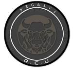 [- P.I -] Vehicle Support Unit