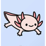 •~axolotl~•