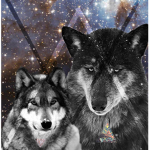 Galaxy_wolfs group