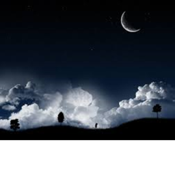Night Capture