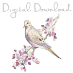 DigitalDownload