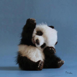 TheMagicPandas