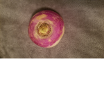 TinyTurnip Cult<3