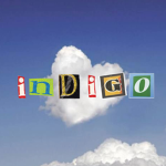 ~indigo~