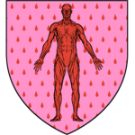 Bolton Vanguard