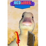 Miniduck