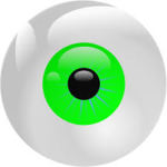 The Eye Family