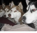 Group Thumbnail