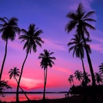 Vibe Palms Group Thumbnail
