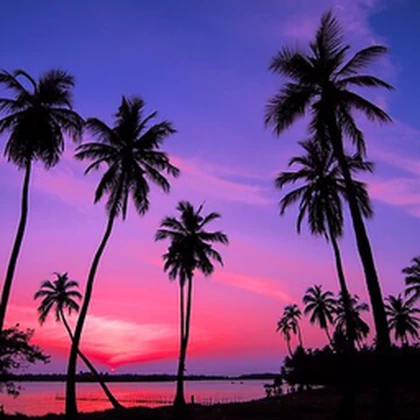 Vibe Palms Roblox group icon
