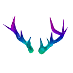 Crystal Vibe Antlers