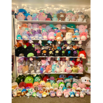 |<~squishmallows~>|