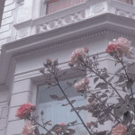 ☆ 𝓎𝑜𝓊'𝓋𝑒