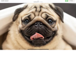 PUG_KINGS