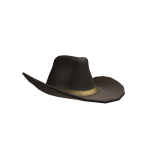 Slightly Tilted Dark Brown Cowboy Hat